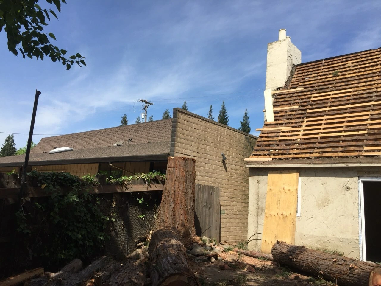 Gallery Image: Tree service in Meadow Vista CA | Brothers Cisco Tree Service