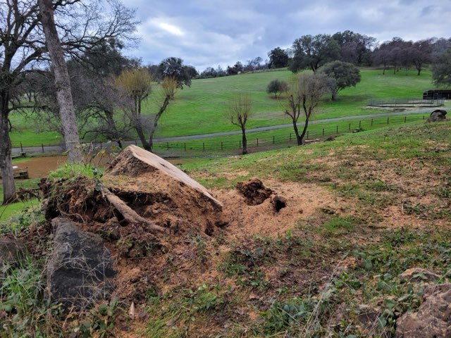 Gallery Image: Tree service in Meadow Vista CA | Brothers Cisco Tree Service