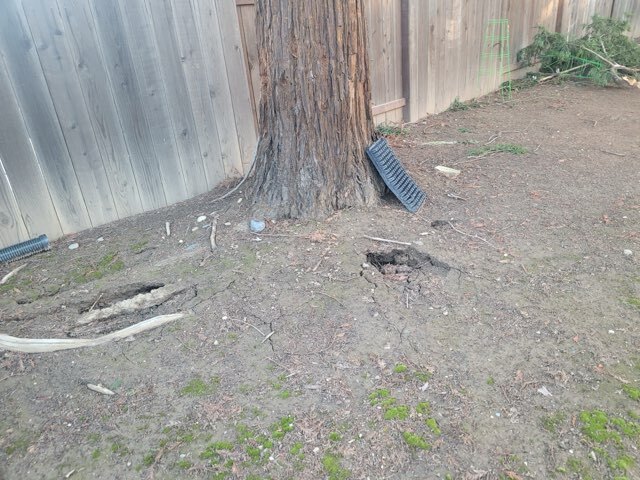 Gallery Image: Tree service in Meadow Vista CA | Brothers Cisco Tree Service