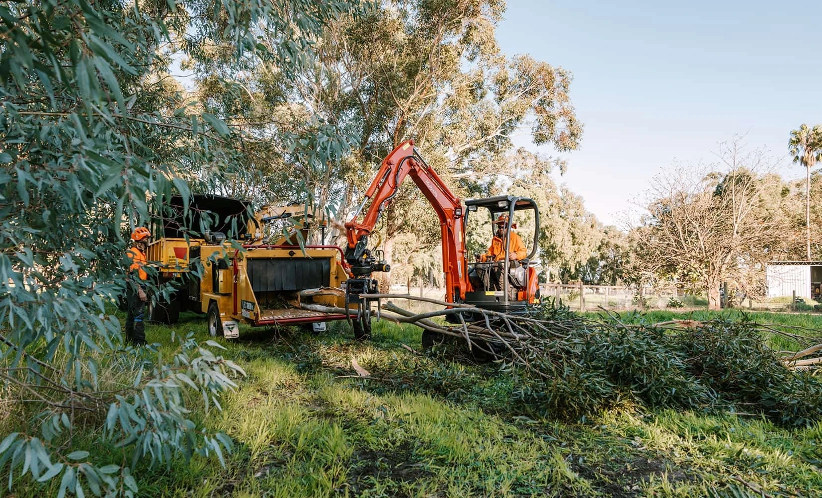 Gallery Image: Tree service in Meadow Vista CA | Brothers Cisco Tree Service