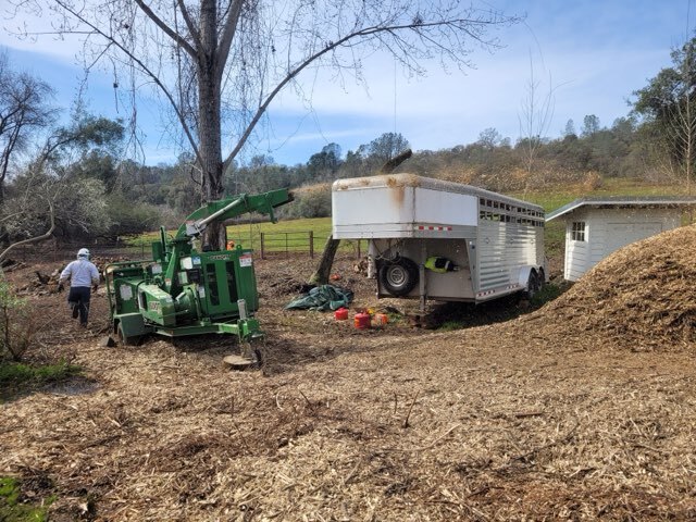 Gallery Image: Tree service in Meadow Vista CA | Brothers Cisco Tree Service