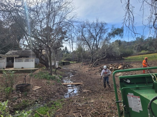 Gallery Image: Tree service in Meadow Vista CA | Brothers Cisco Tree Service