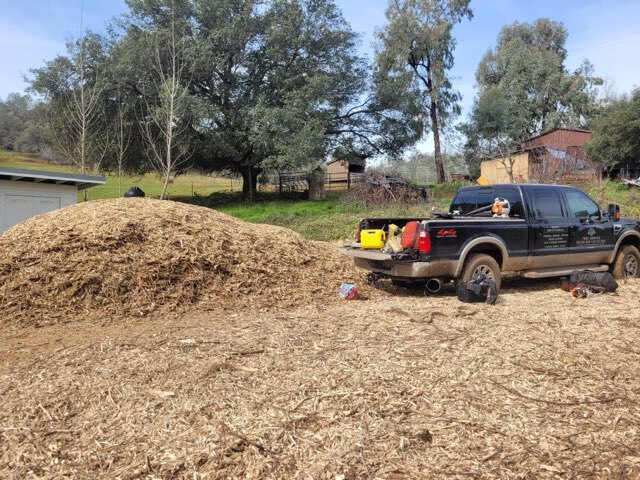 Gallery Image: Tree service in Meadow Vista CA | Brothers Cisco Tree Service
