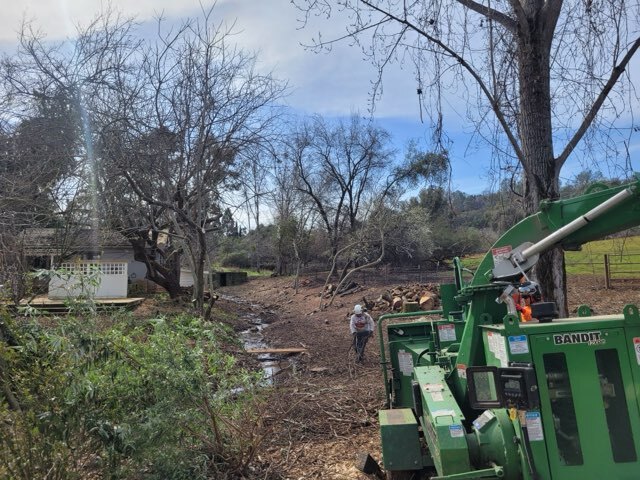 Gallery Image: Tree service in Meadow Vista CA | Brothers Cisco Tree Service
