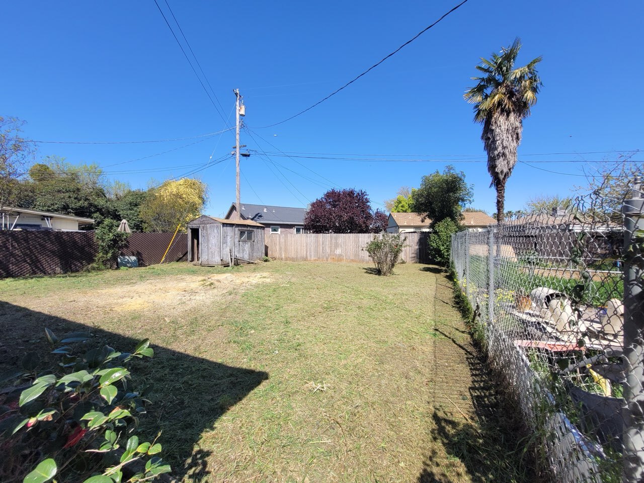 Gallery Image: Tree service in Meadow Vista CA | Brothers Cisco Tree Service
