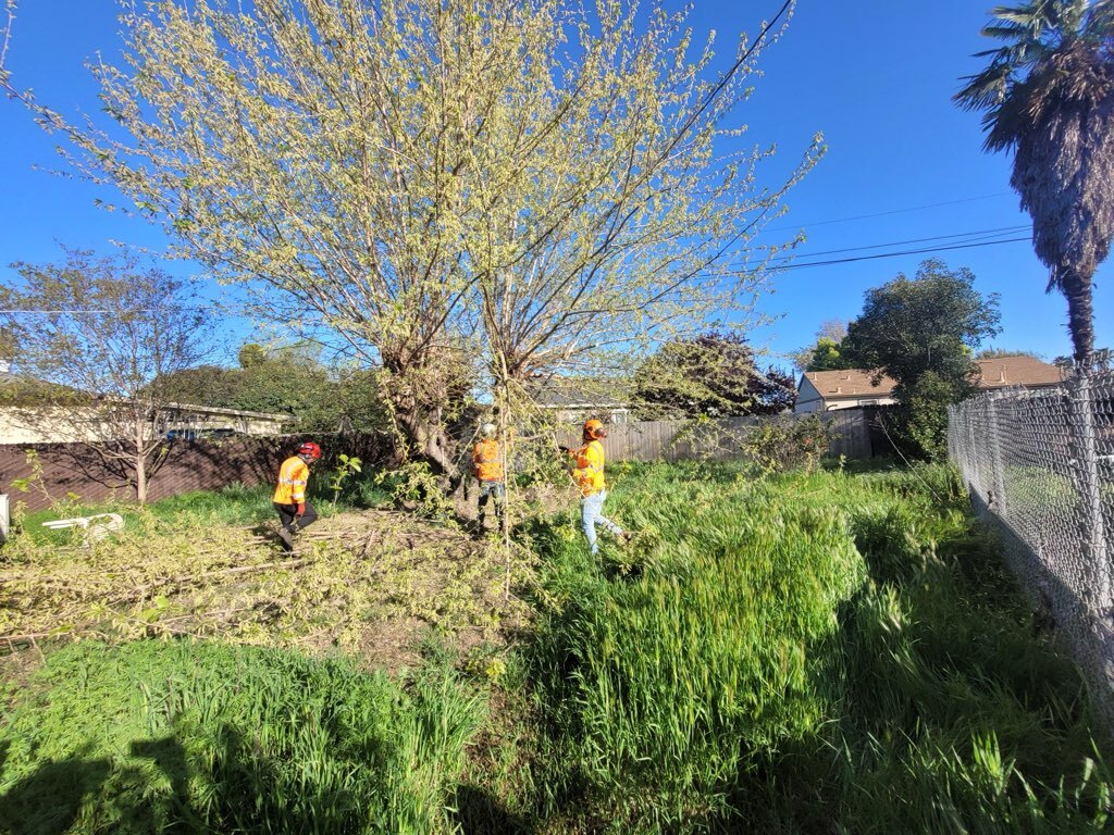 Gallery Image: Tree service in Meadow Vista CA | Brothers Cisco Tree Service