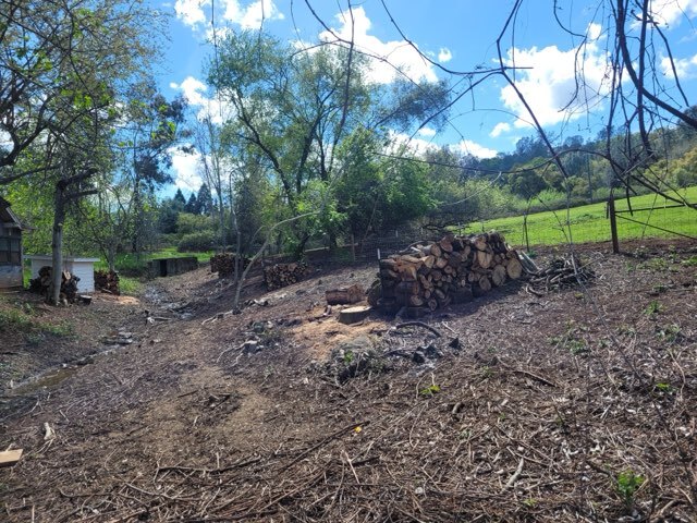 Gallery Image: Tree service in Meadow Vista CA | Brothers Cisco Tree Service