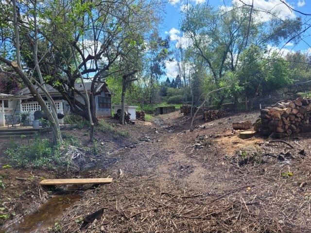 Gallery Image: Tree service in Meadow Vista CA | Brothers Cisco Tree Service
