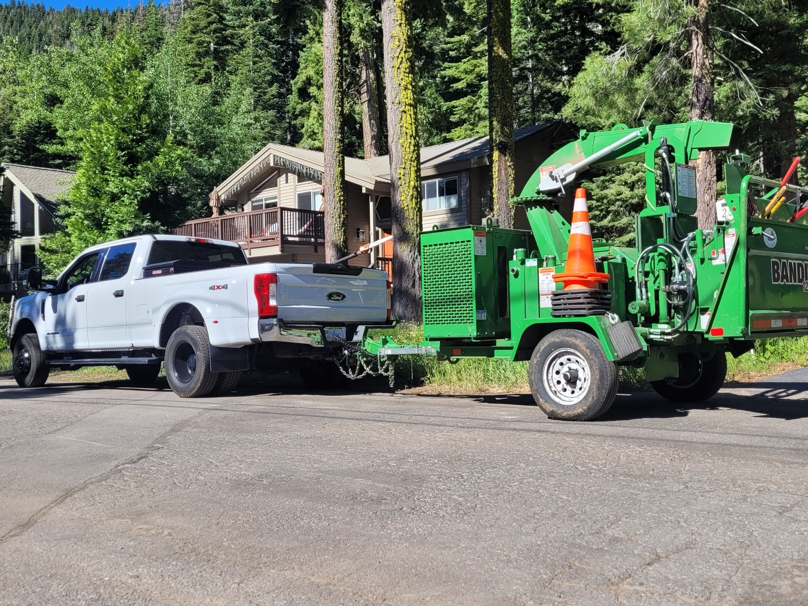 Gallery Image: Tree service in Meadow Vista CA | Brothers Cisco Tree Service