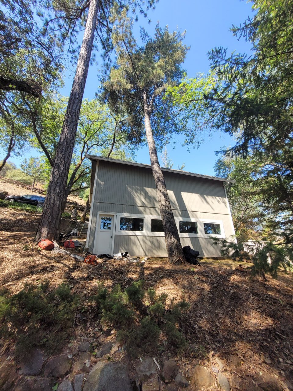 Gallery Image: Tree service in Meadow Vista CA | Brothers Cisco Tree Service