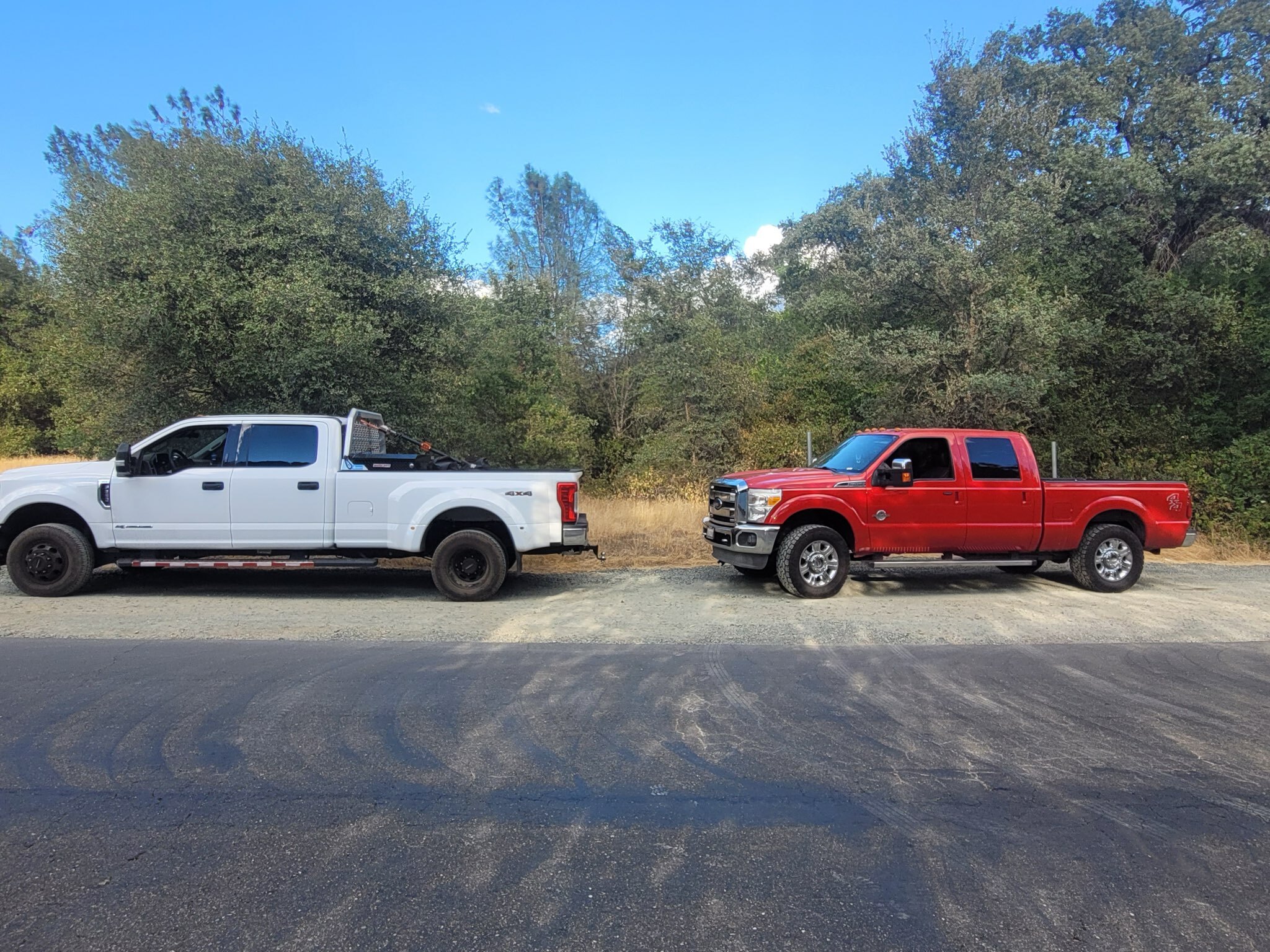 Gallery Image: Tree service in Meadow Vista CA | Brothers Cisco Tree Service