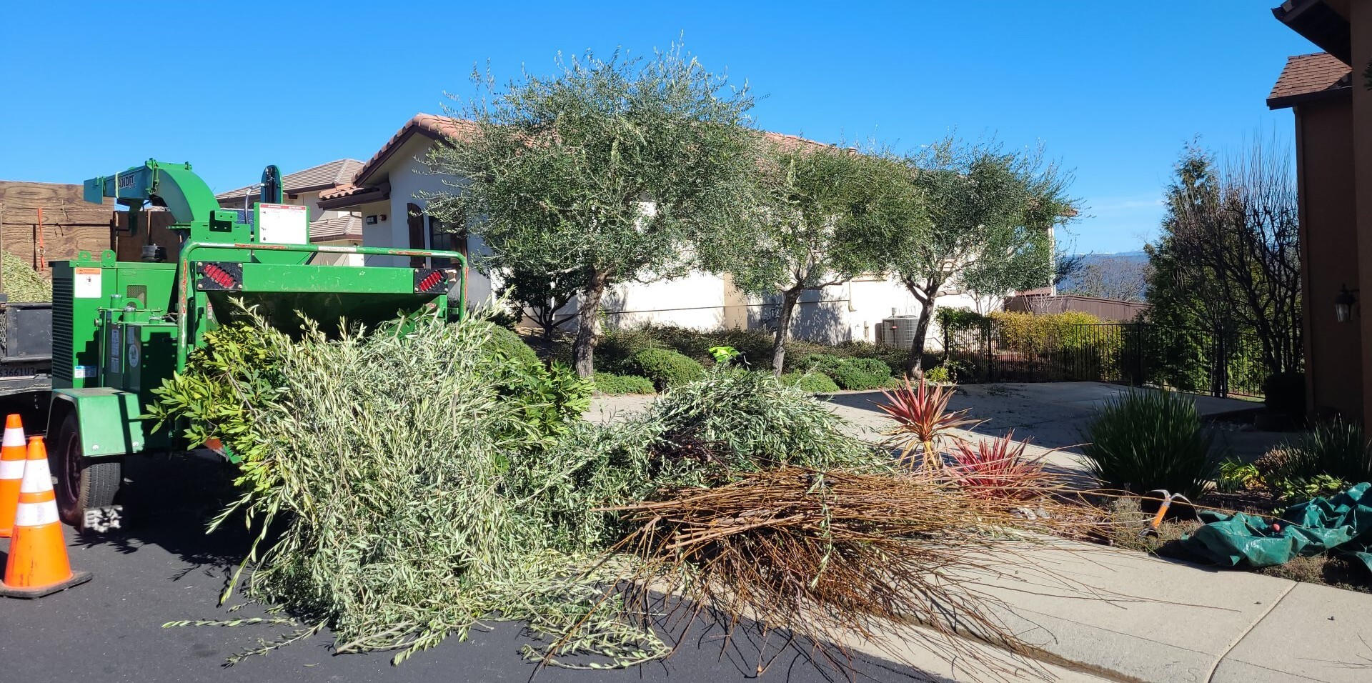 Gallery Image: Tree service in Meadow Vista CA | Brothers Cisco Tree Service