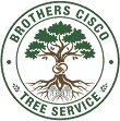 Arborist consultations in Grass Valley CA | Hazard tree removal in Penn Valley CA | Tree service in Grass Valley CA