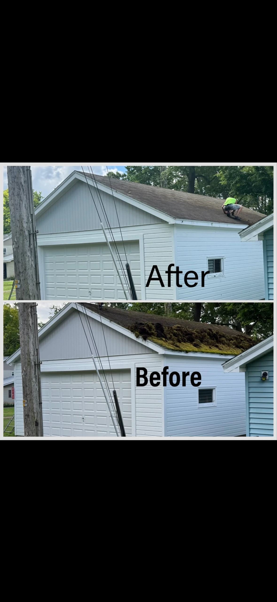 Gallery Image: Chautauqua Moss Removal