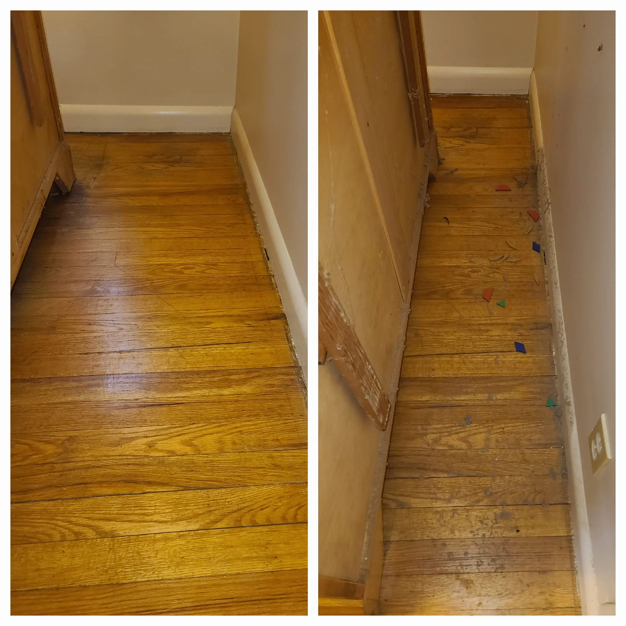 Gallery Image:Pelican Electric-CC LLC