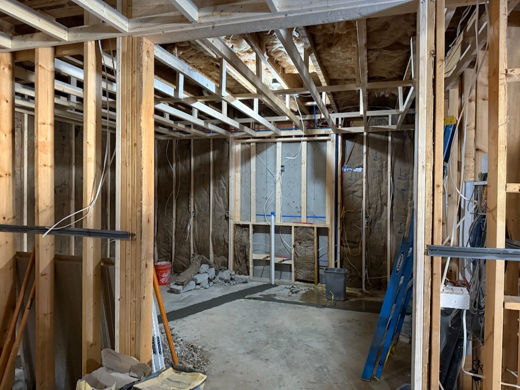 project-image