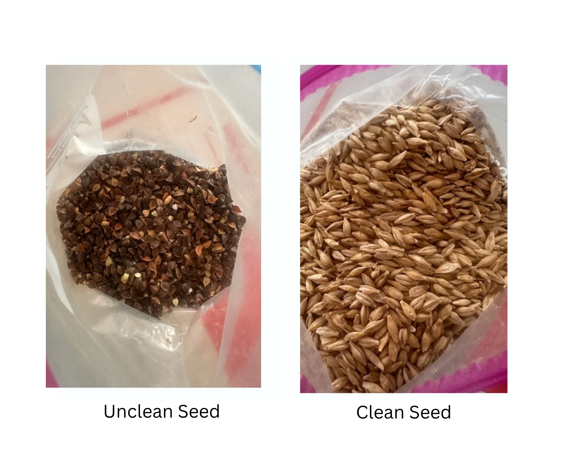 Gallery Image: Golden Waves llc Mobile Grain Cleaning