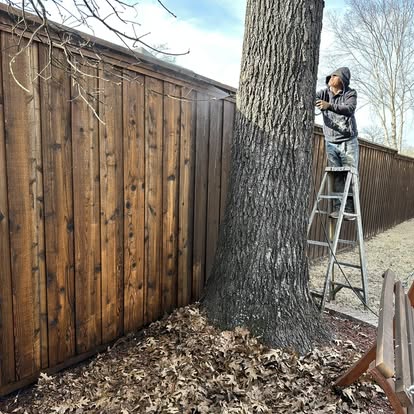 Gallery Image: Gonzalo Painting LLC