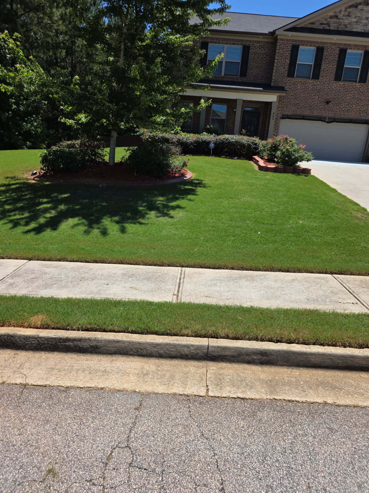 Gallery Image: Green Blades Lawn Care Service, LLC