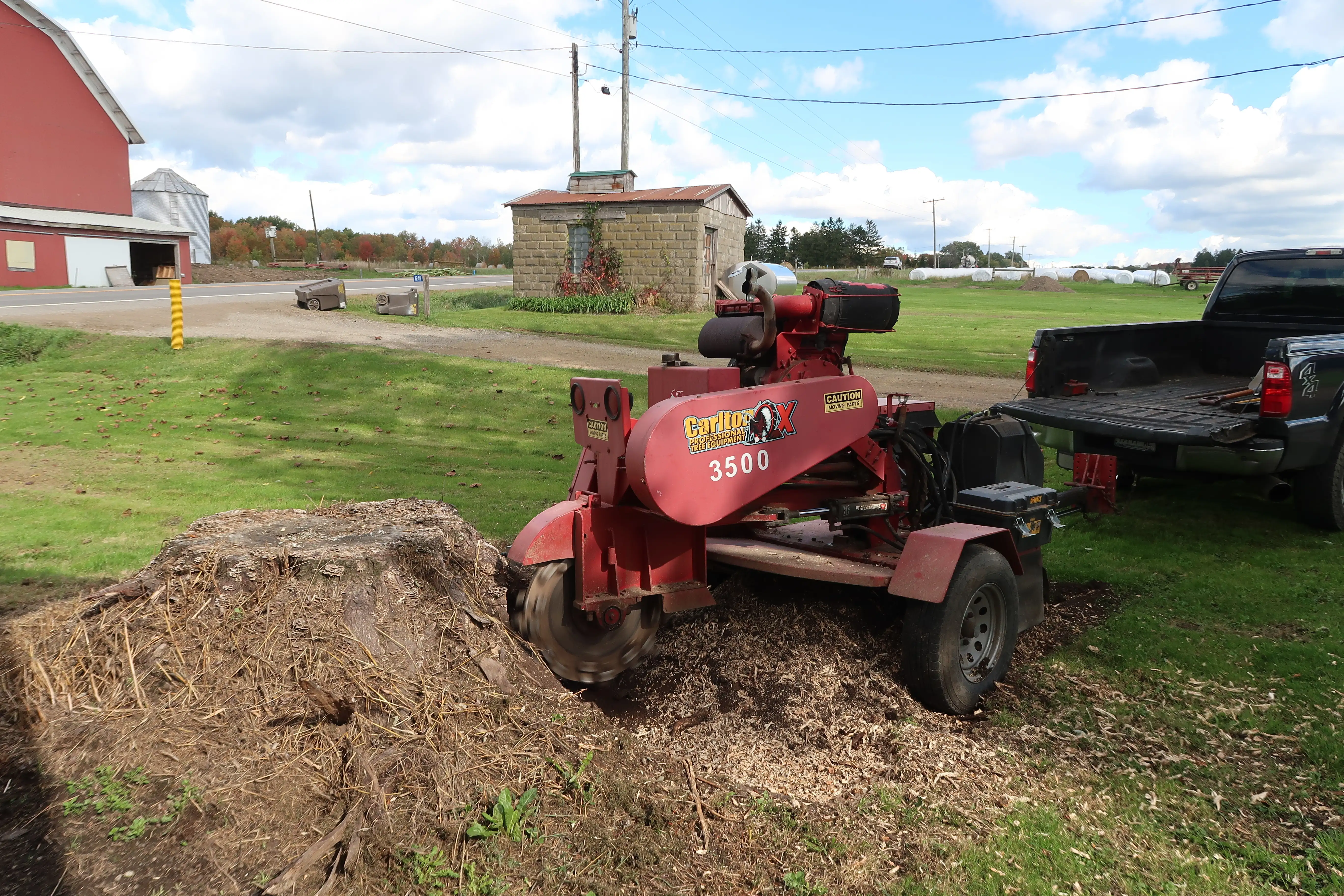 Gallery Image: Ground Level Stump Grinding