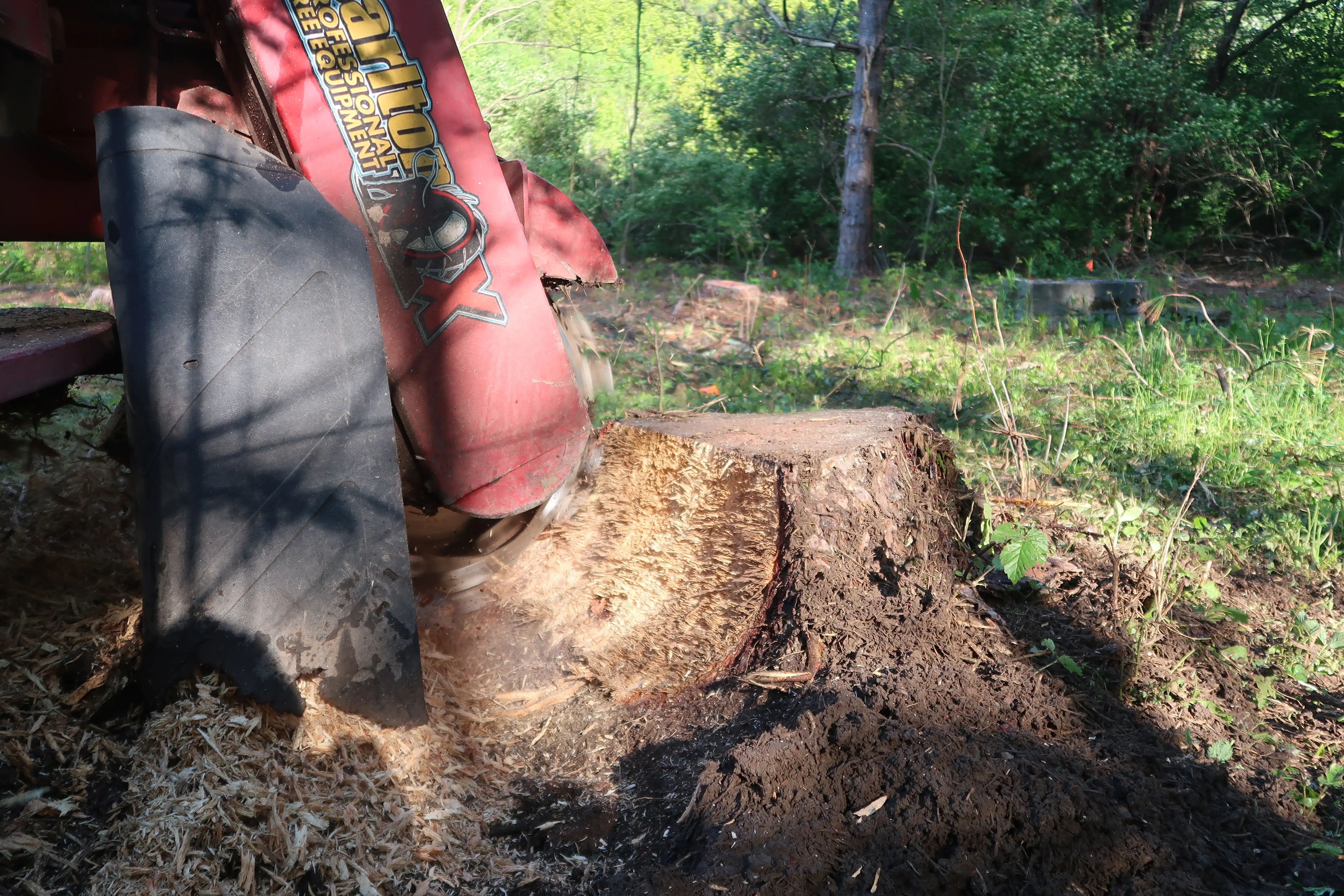Gallery Image: Ground Level Stump Grinding