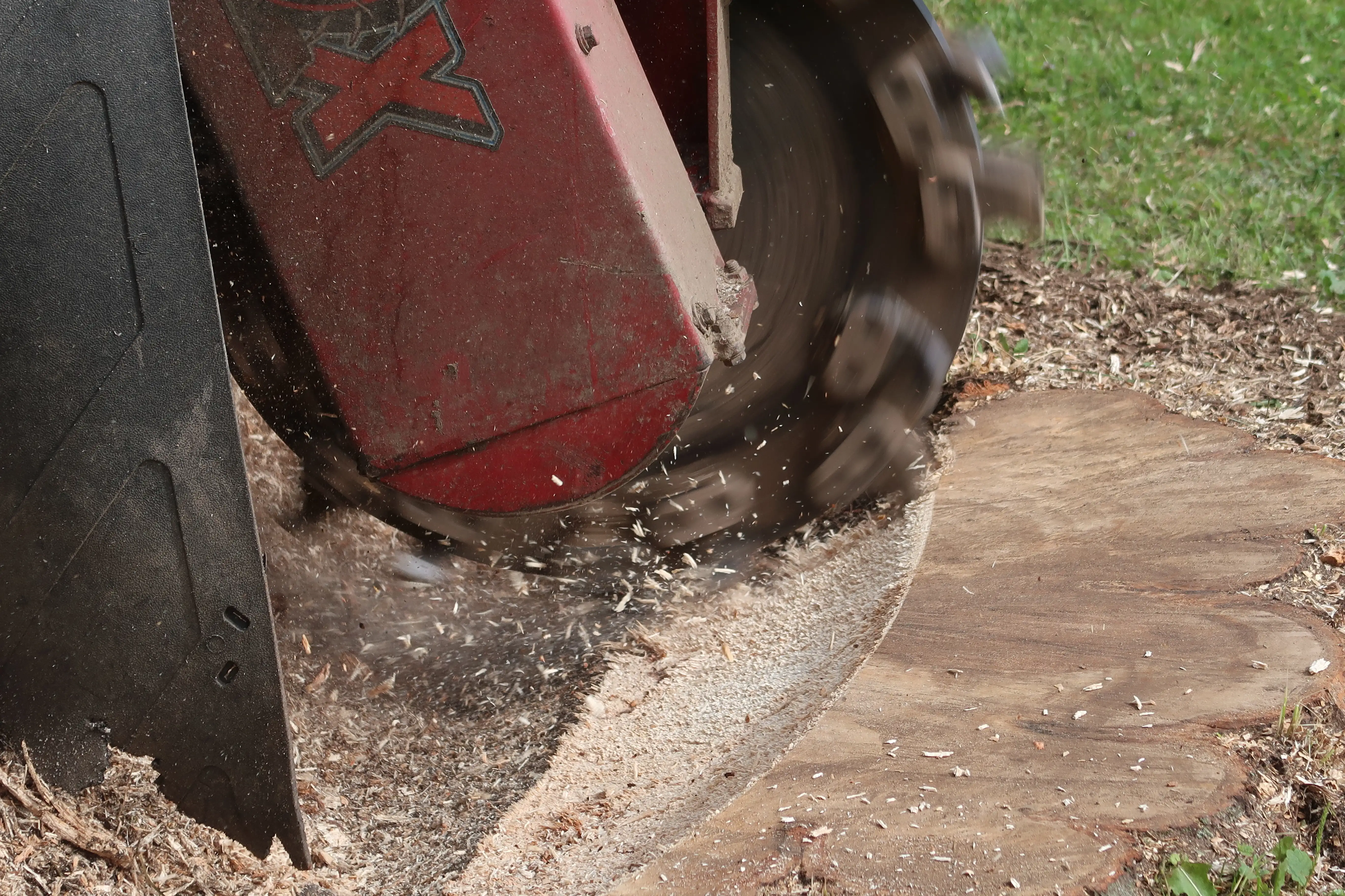 Gallery Image: Ground Level Stump Grinding