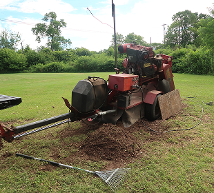project-image