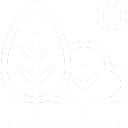 Services Thumbnail