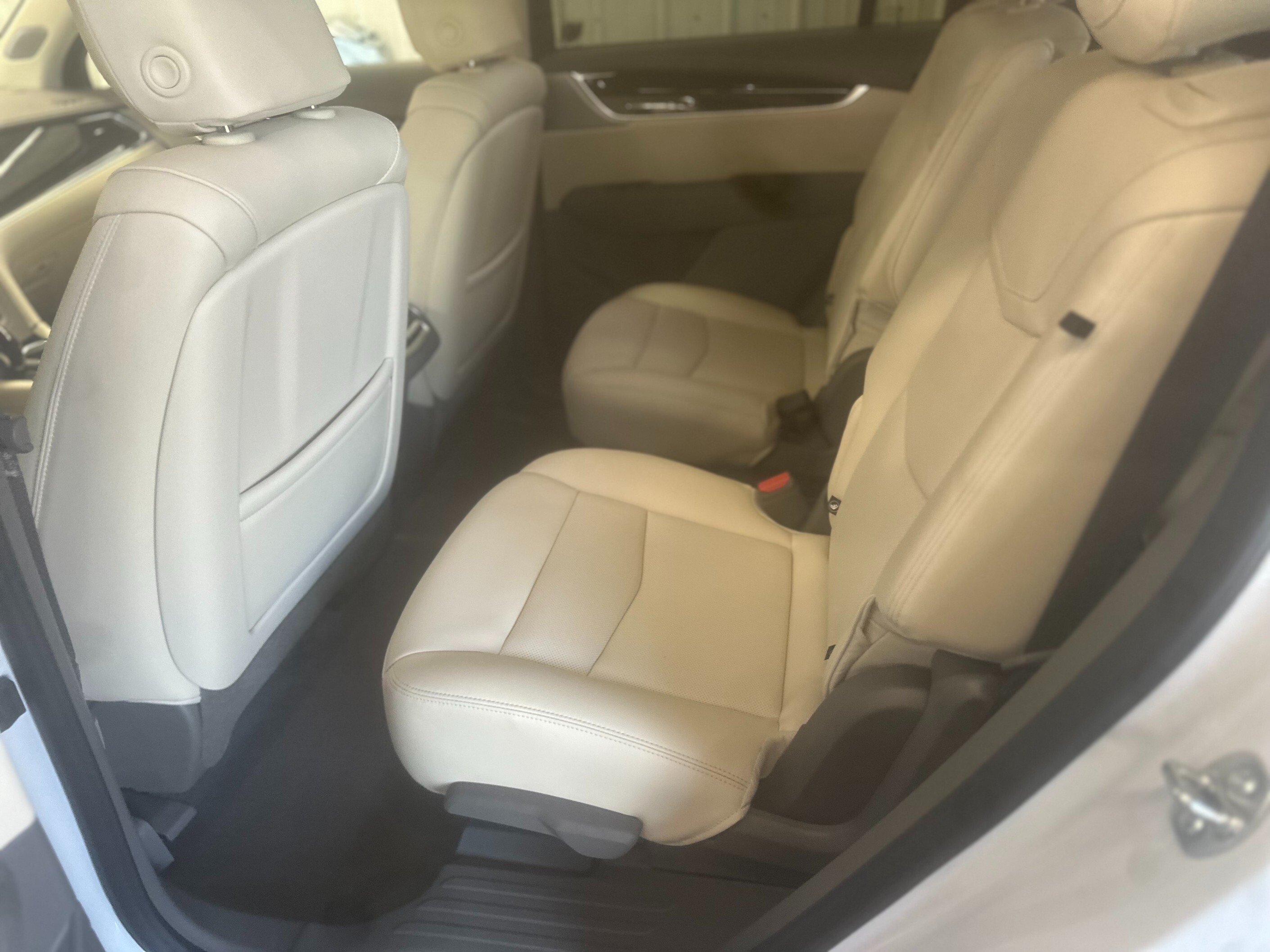 No Competition Auto Detailing