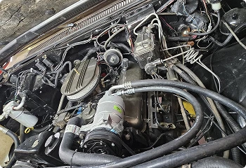 project-image