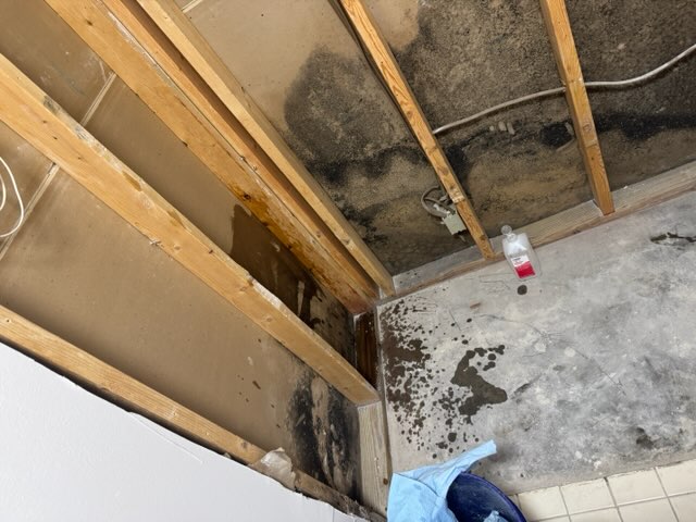 Gallery Image: PJT Construction Services