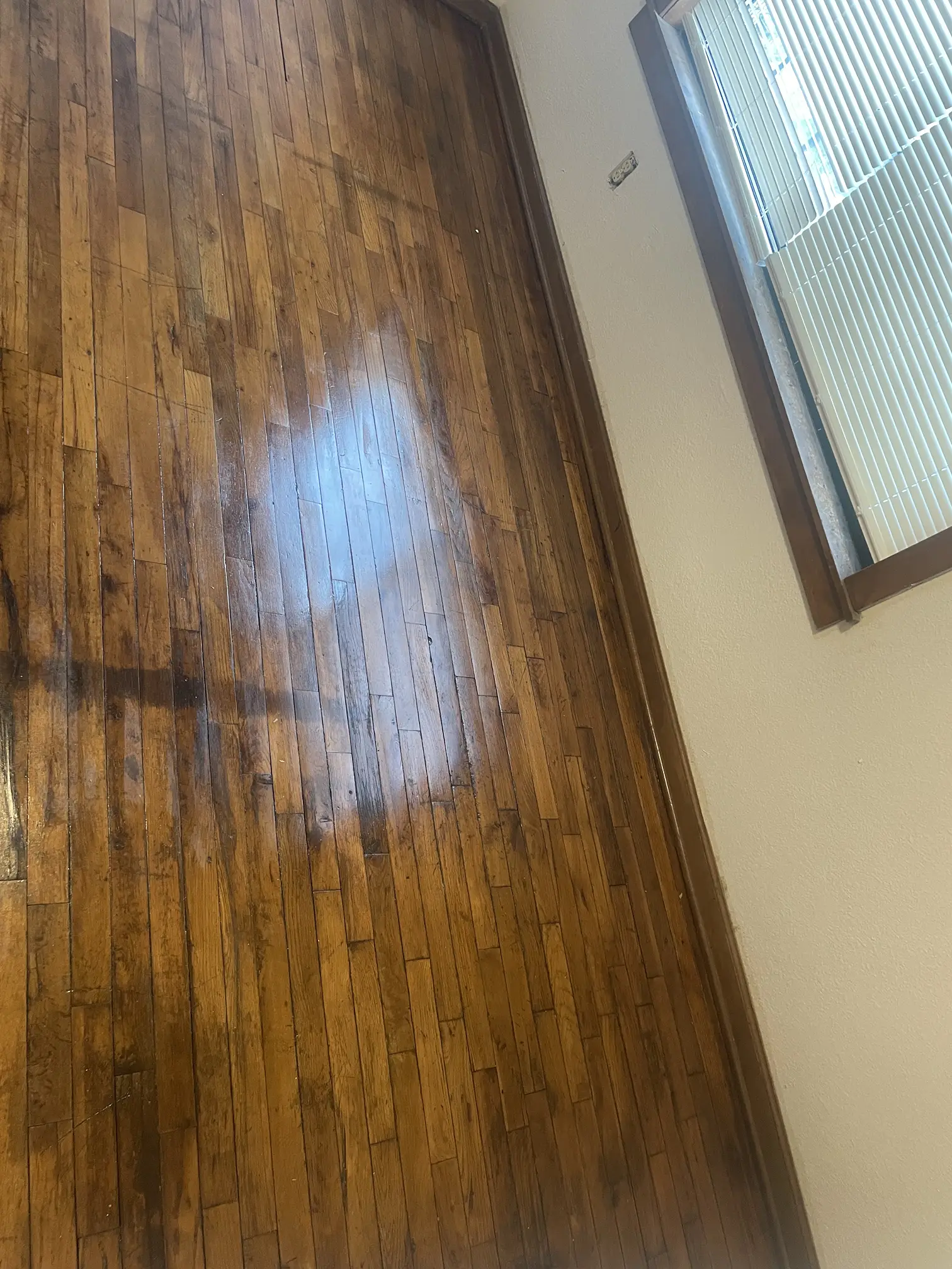 Gallery Image: RPS Contracting Inc