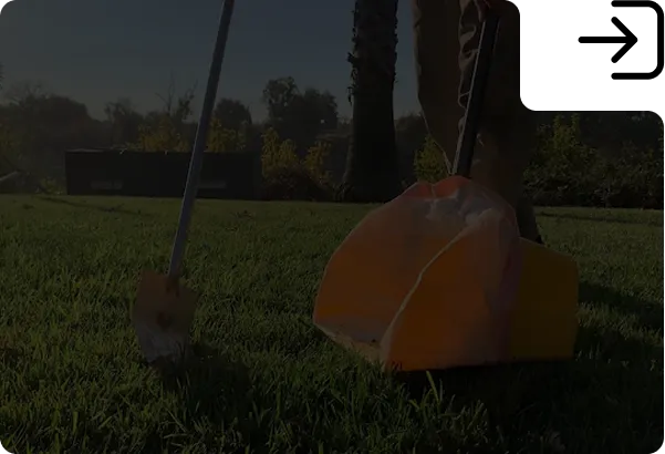 Residential Poop Scoop — Home Field Cleanup