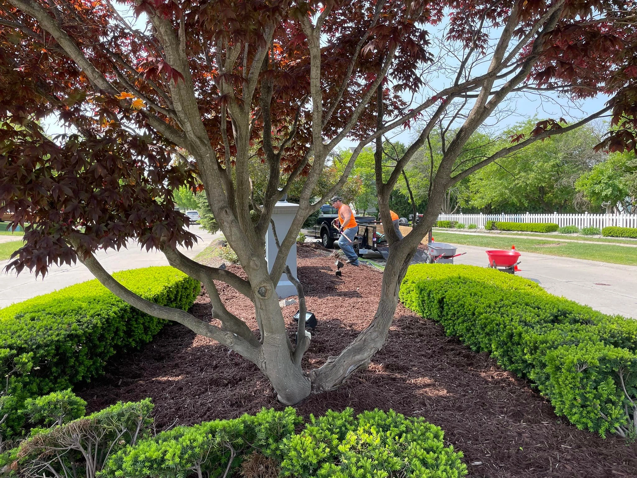 Mulch & Bed Maintenance
