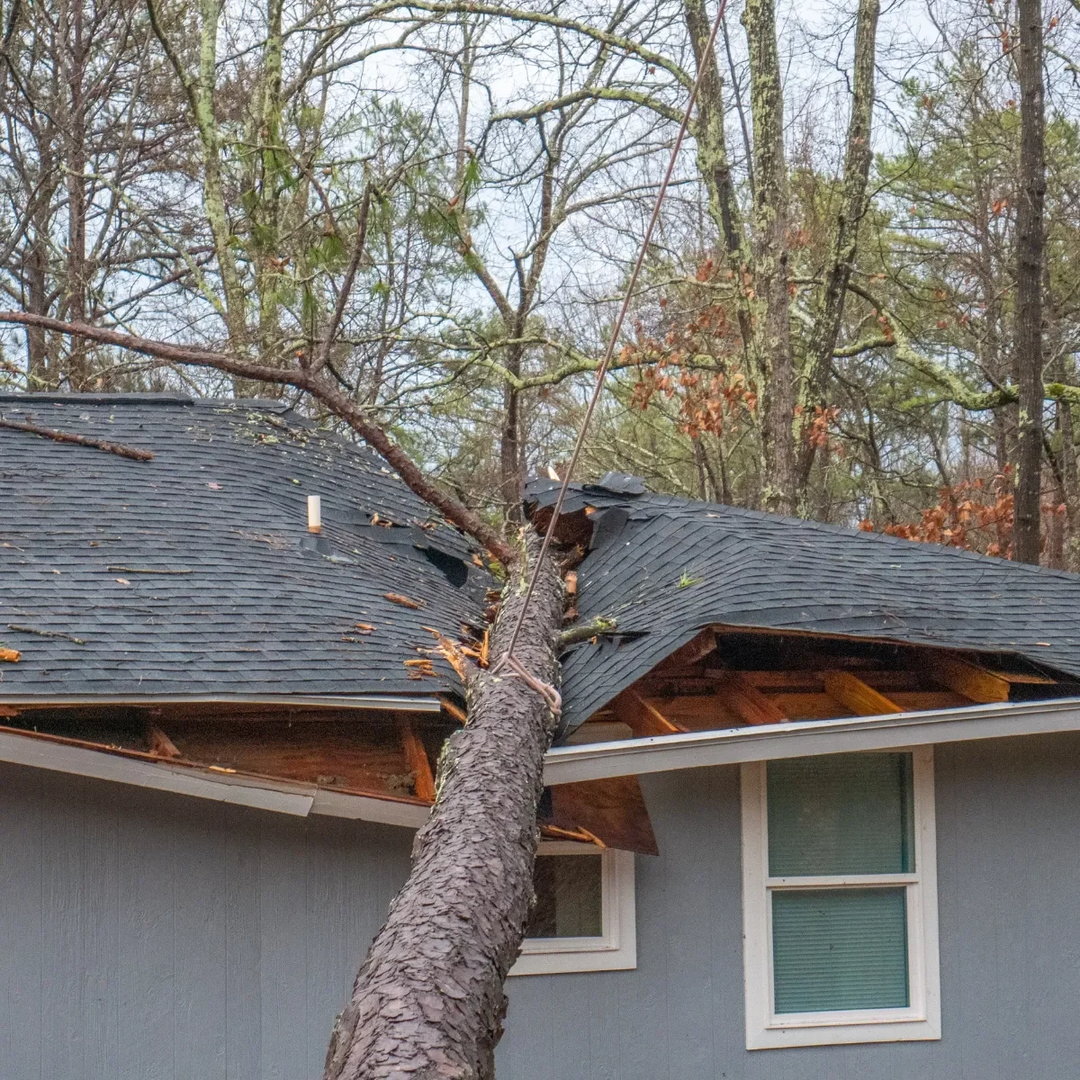 Emergency Roof Repairs