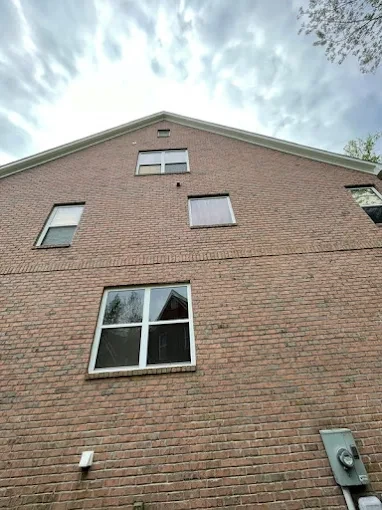 Renovation Project 15