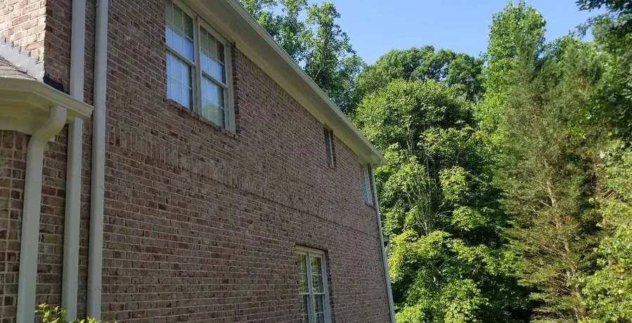 Renovation Project 5