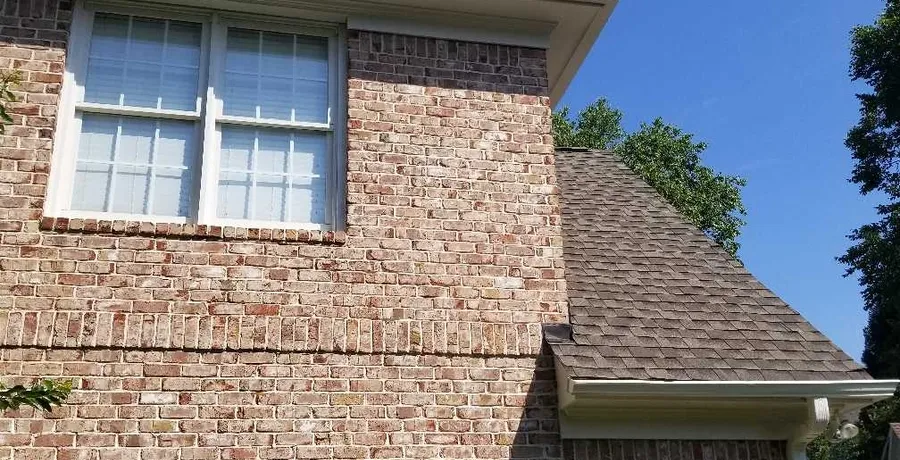 Renovation Project 7