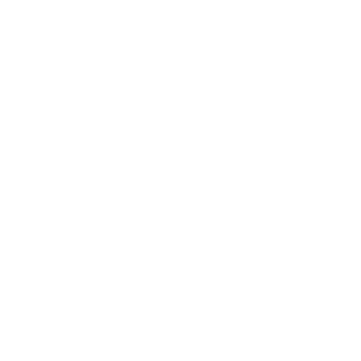 Experienced & Skilled Team