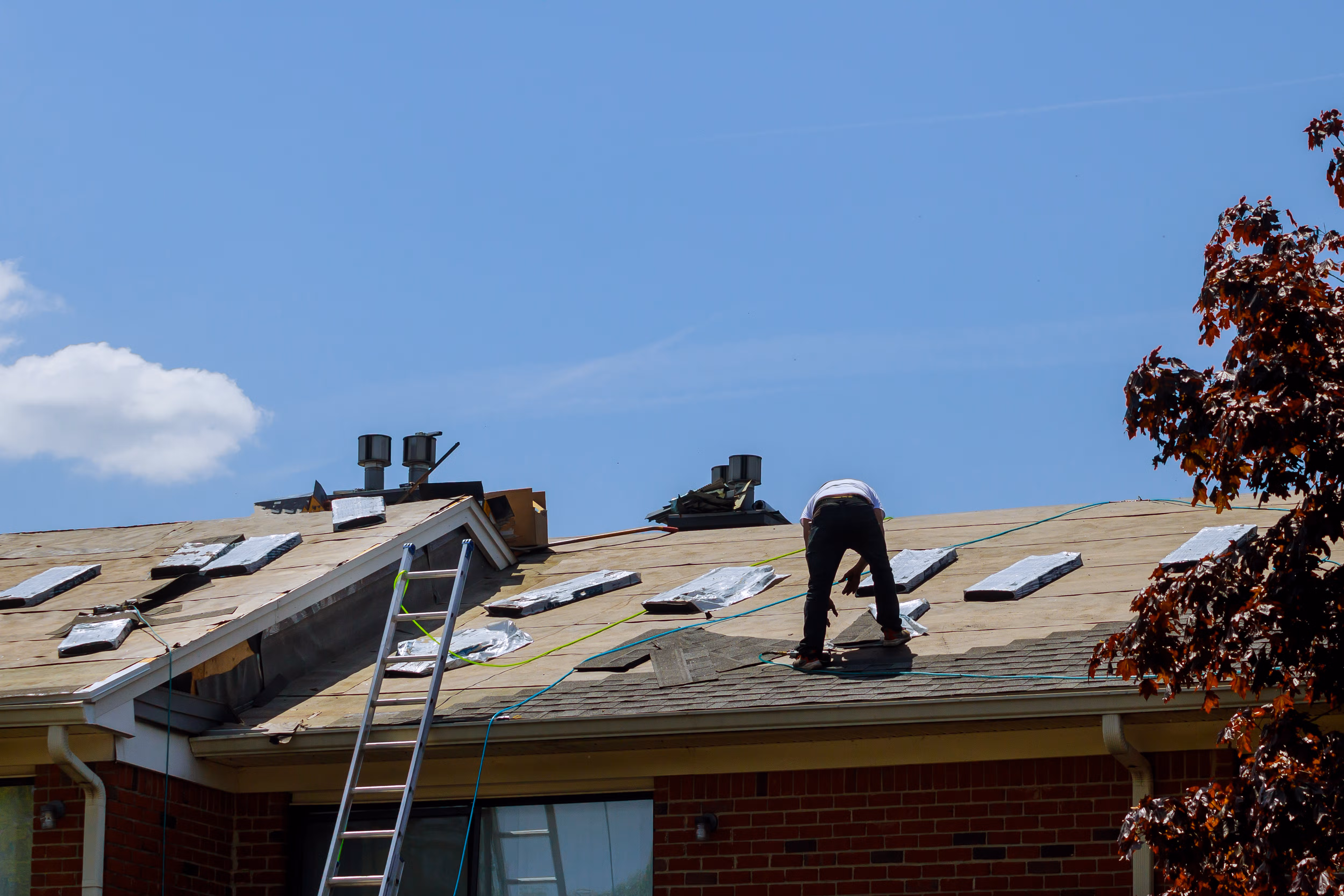 Roof Maintenance